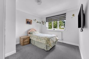 Photo 45- click for photo gallery